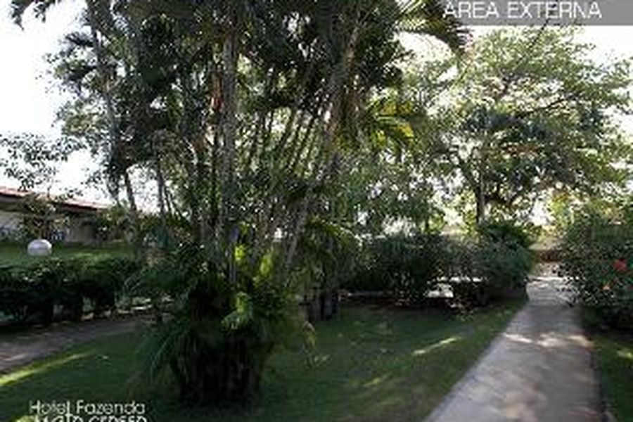 foto-1