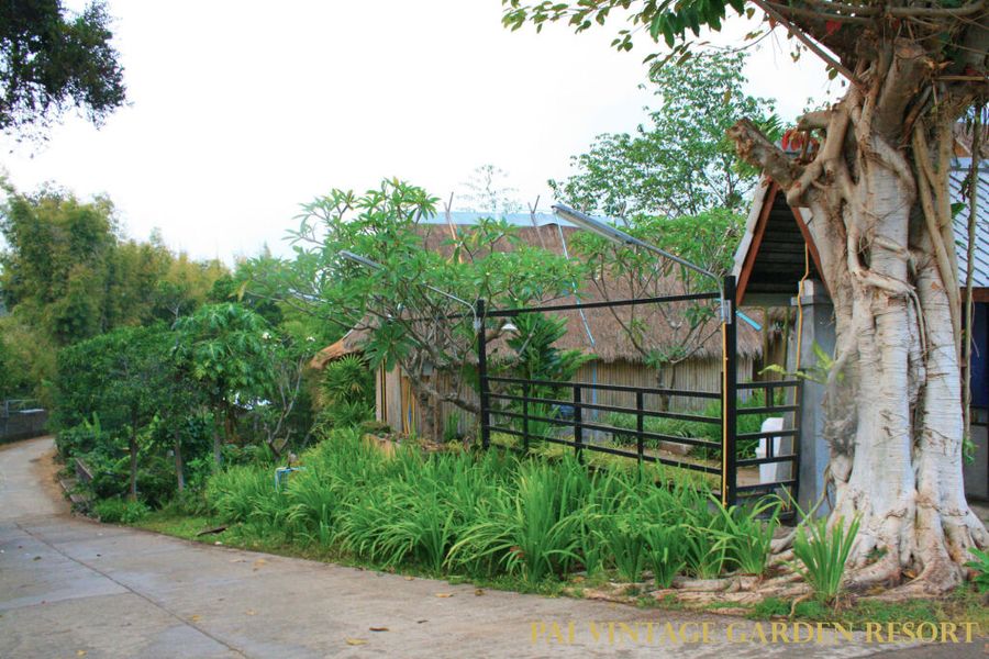 foto-3