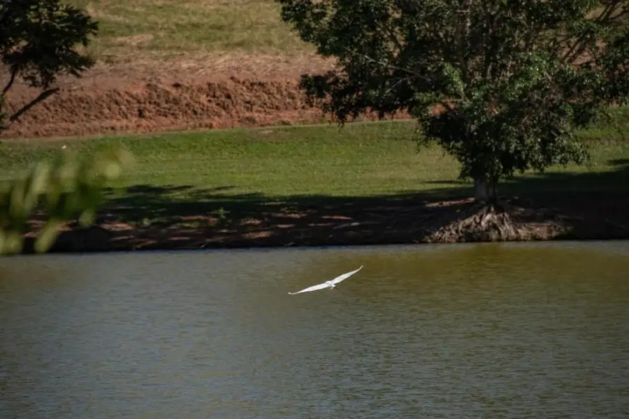 photo-3