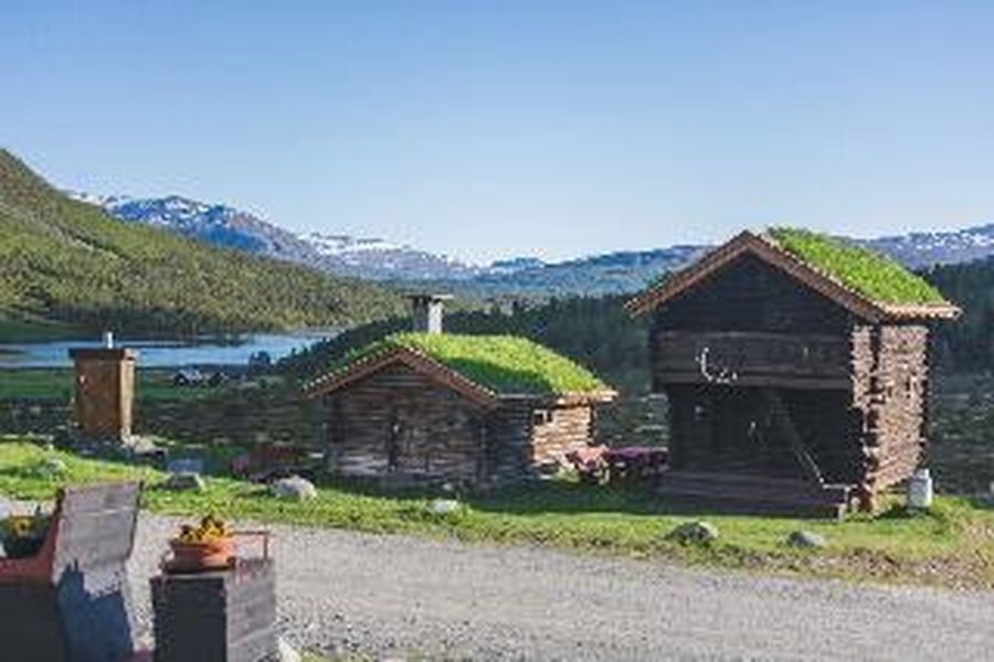 foto-1