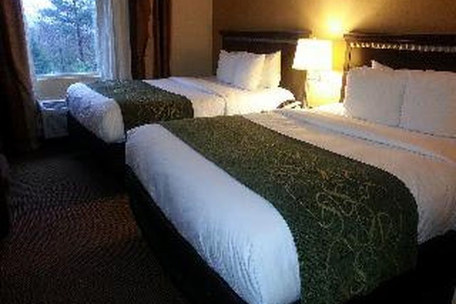photo-1
