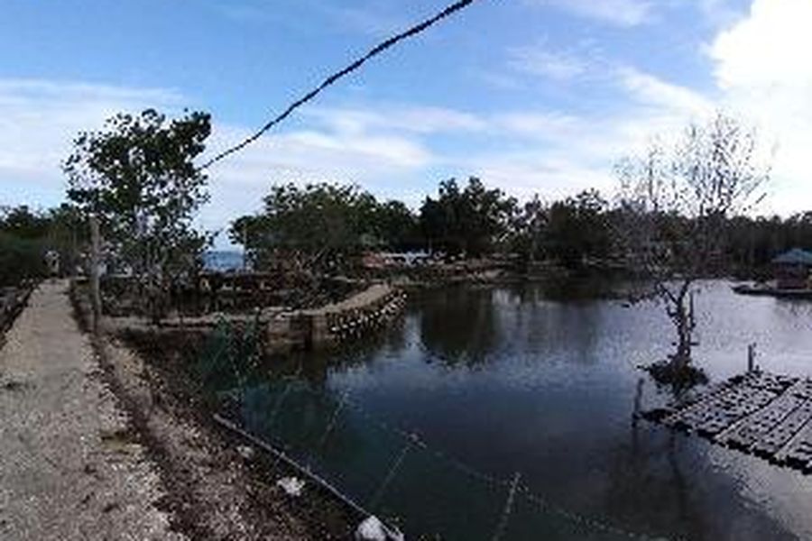 foto-3