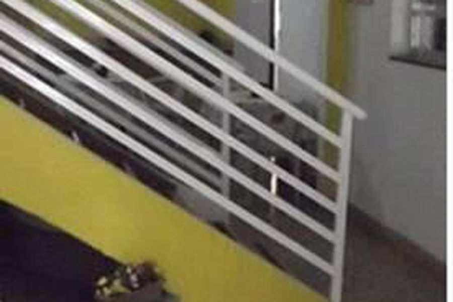 photo-1