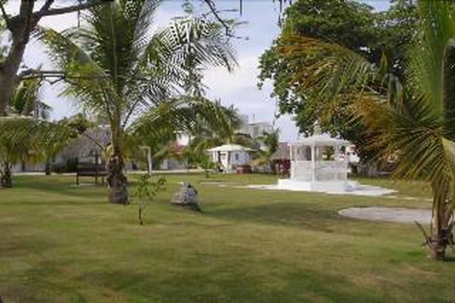 photo-1