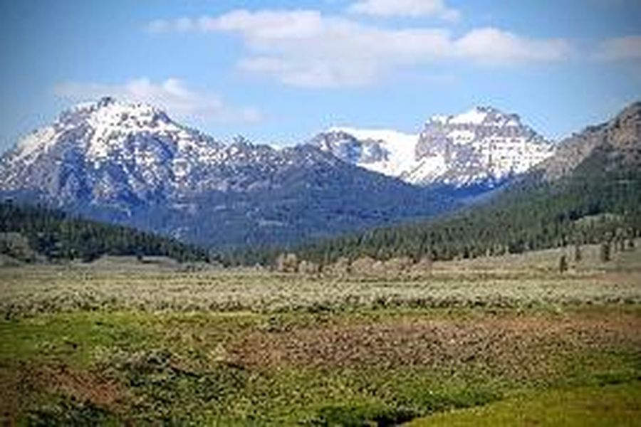 photo-1